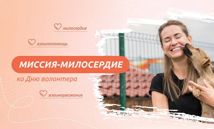 Миссия-милосердие (ко Дню волонтера).